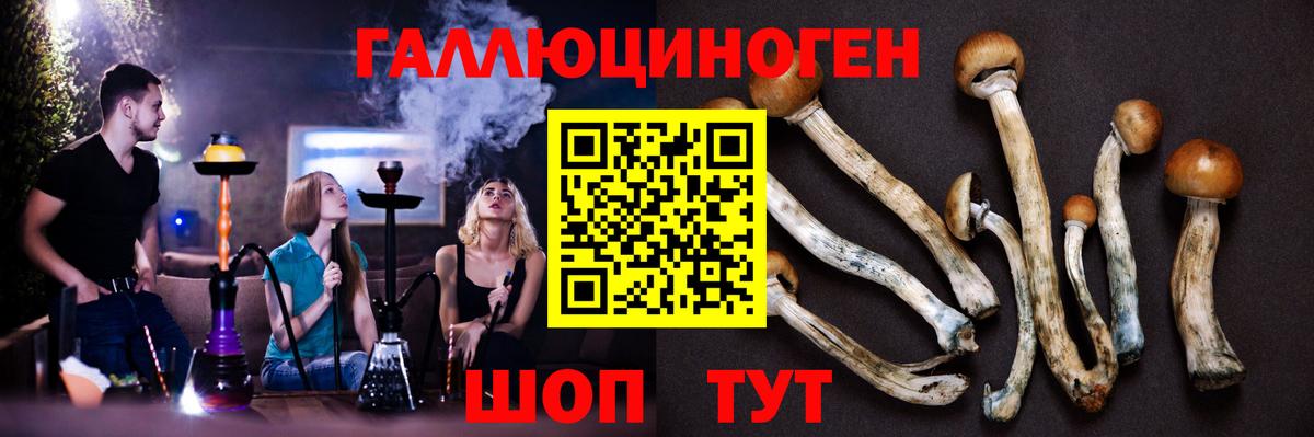 Тимашёвск  Галлюциногенные грибы прущие грибы  Вход с VPN 